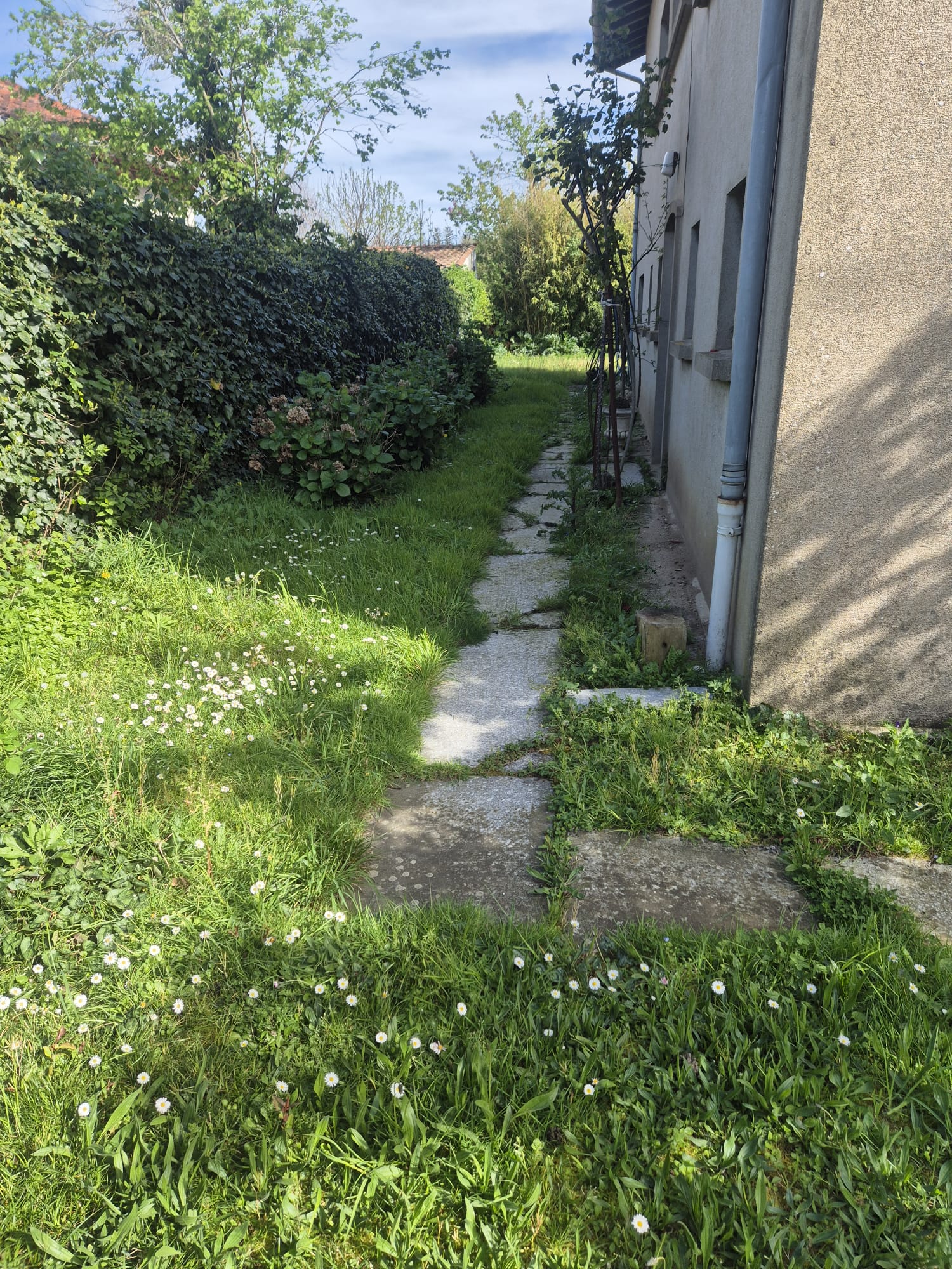Réalisation Julien Volante espaces verts 3