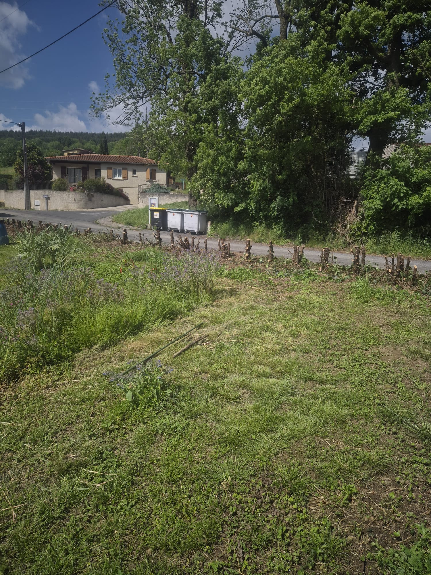 Réalisation Julien Volante espaces verts 41