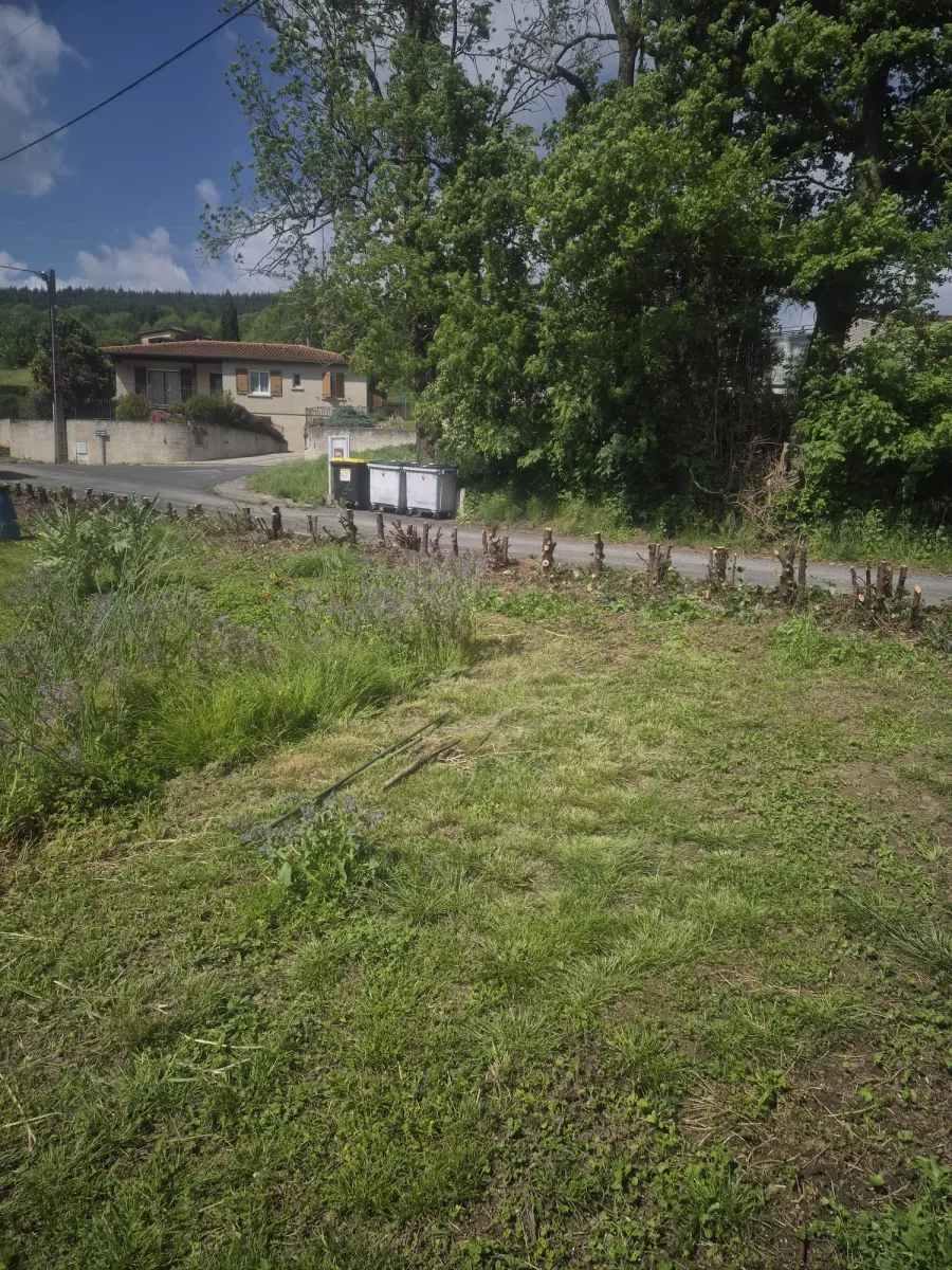 Réalisation Julien Volante espaces verts 41