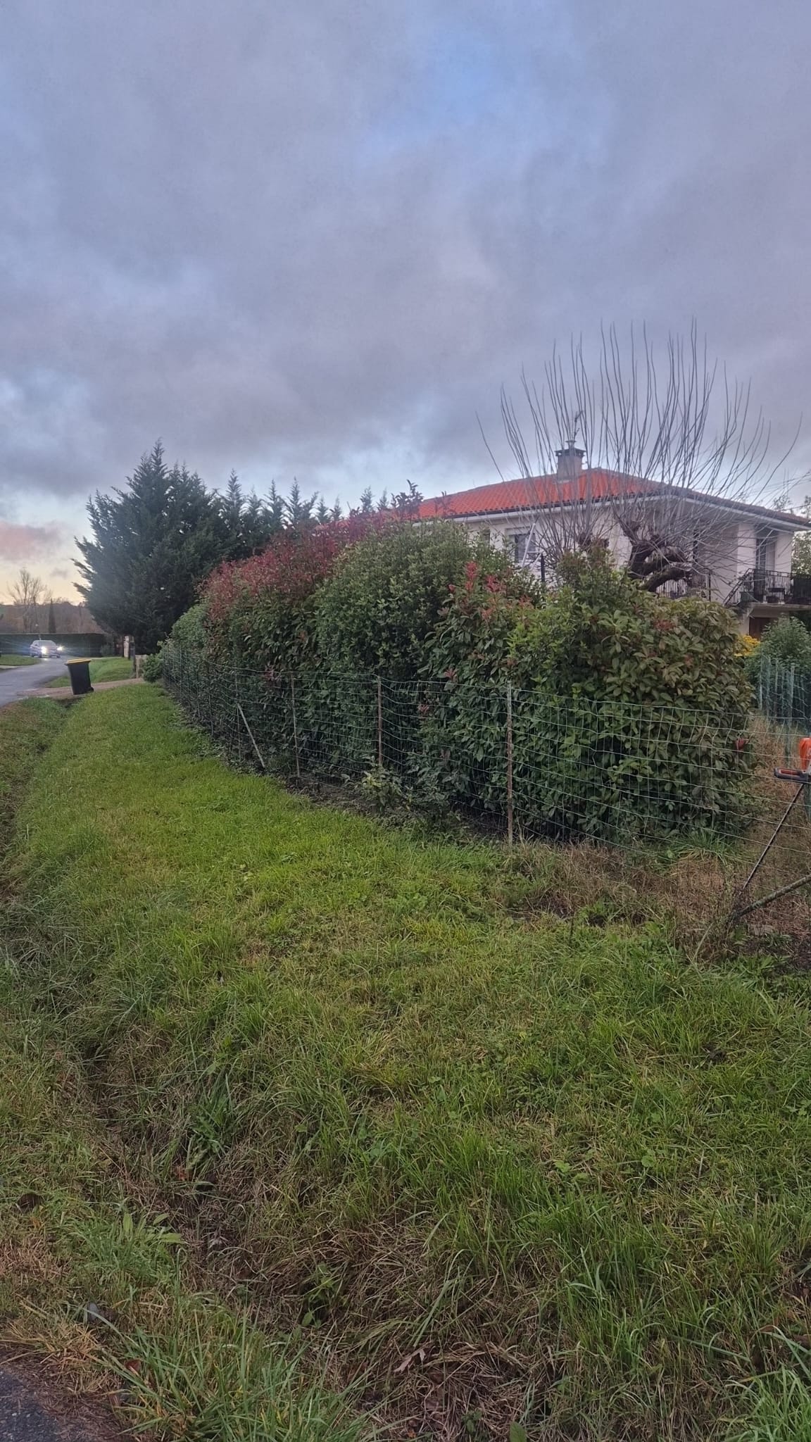 Réalisation Julien Volante espaces verts 46