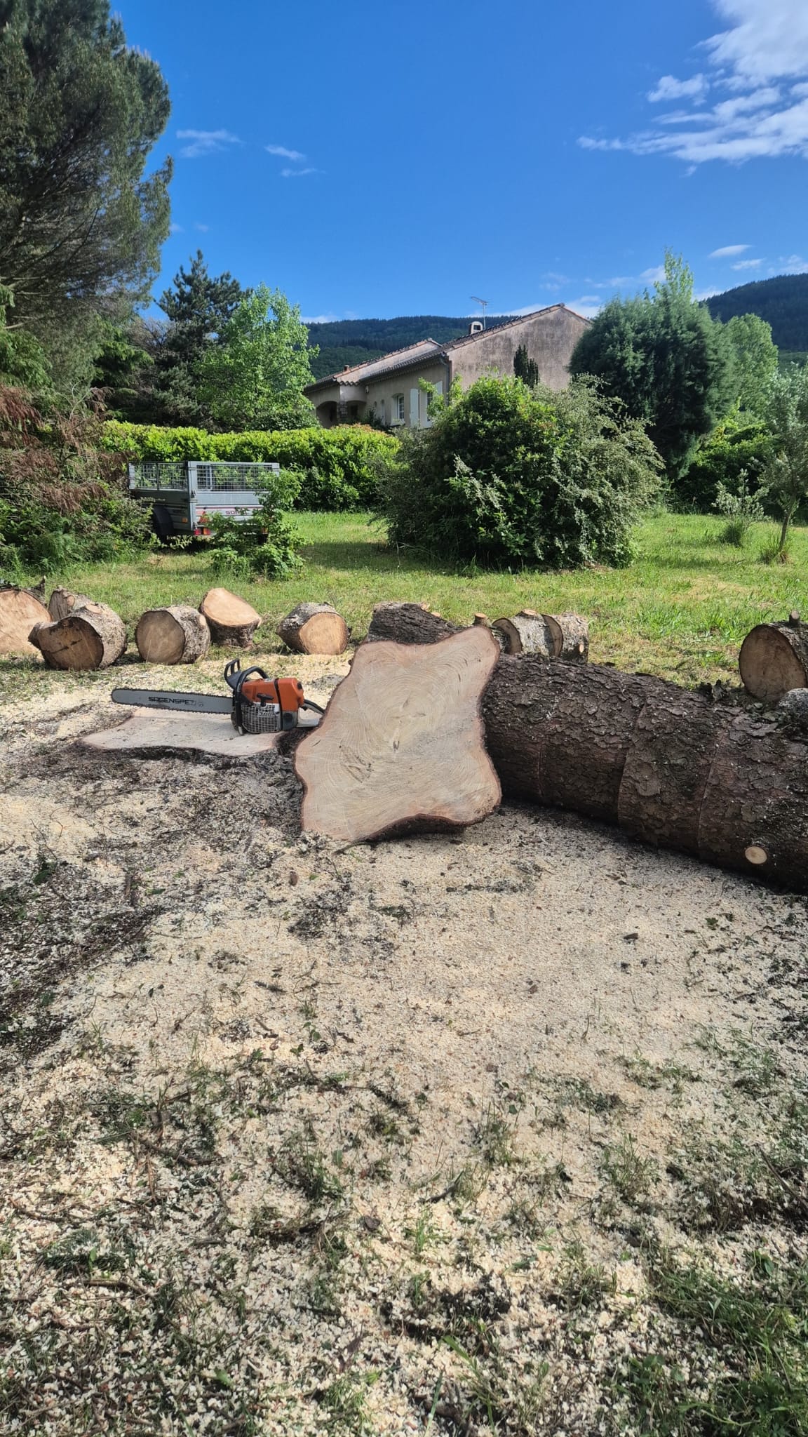 Réalisation JV espaces verts 6