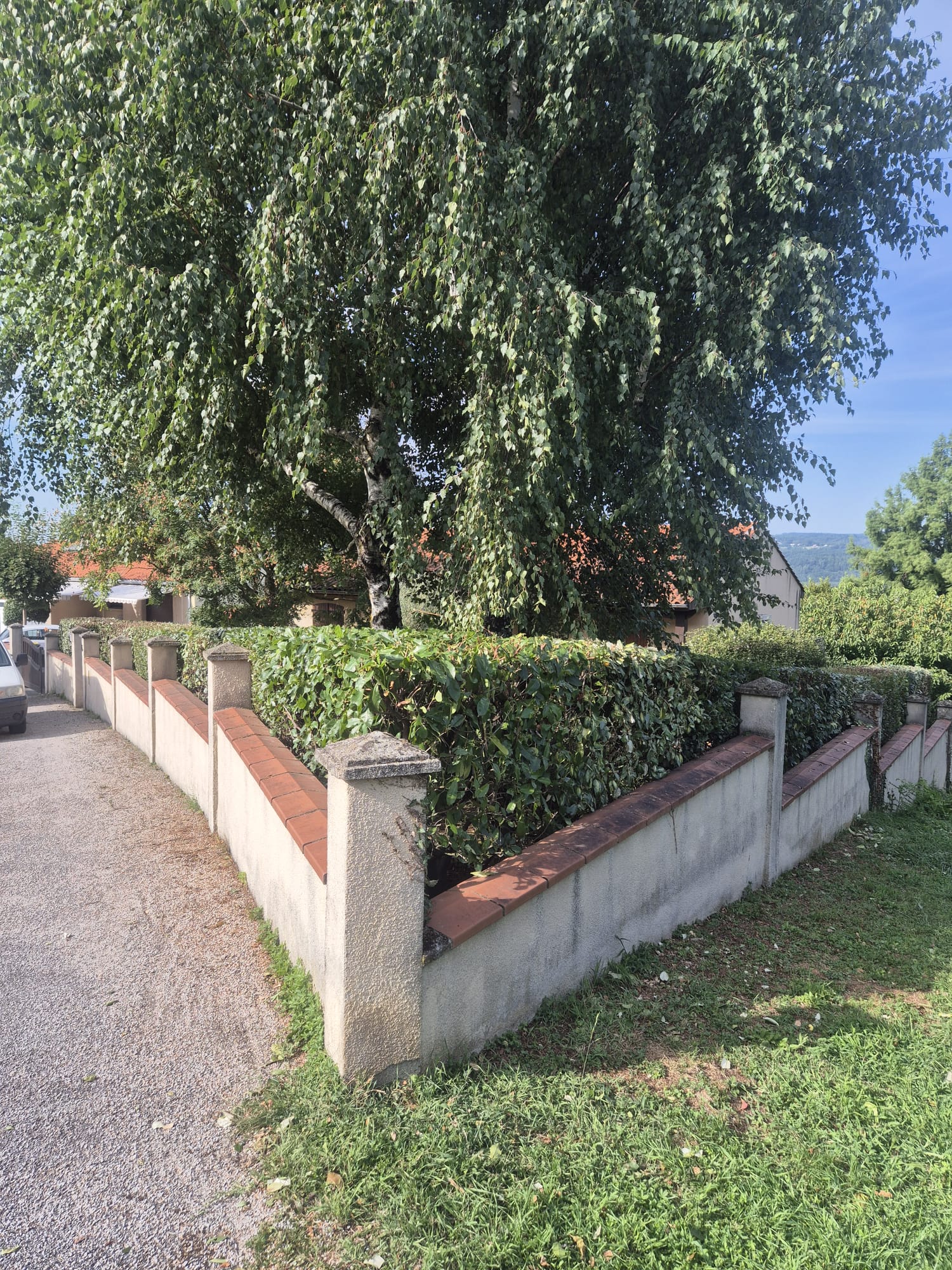 Réalisation JV espaces verts 15