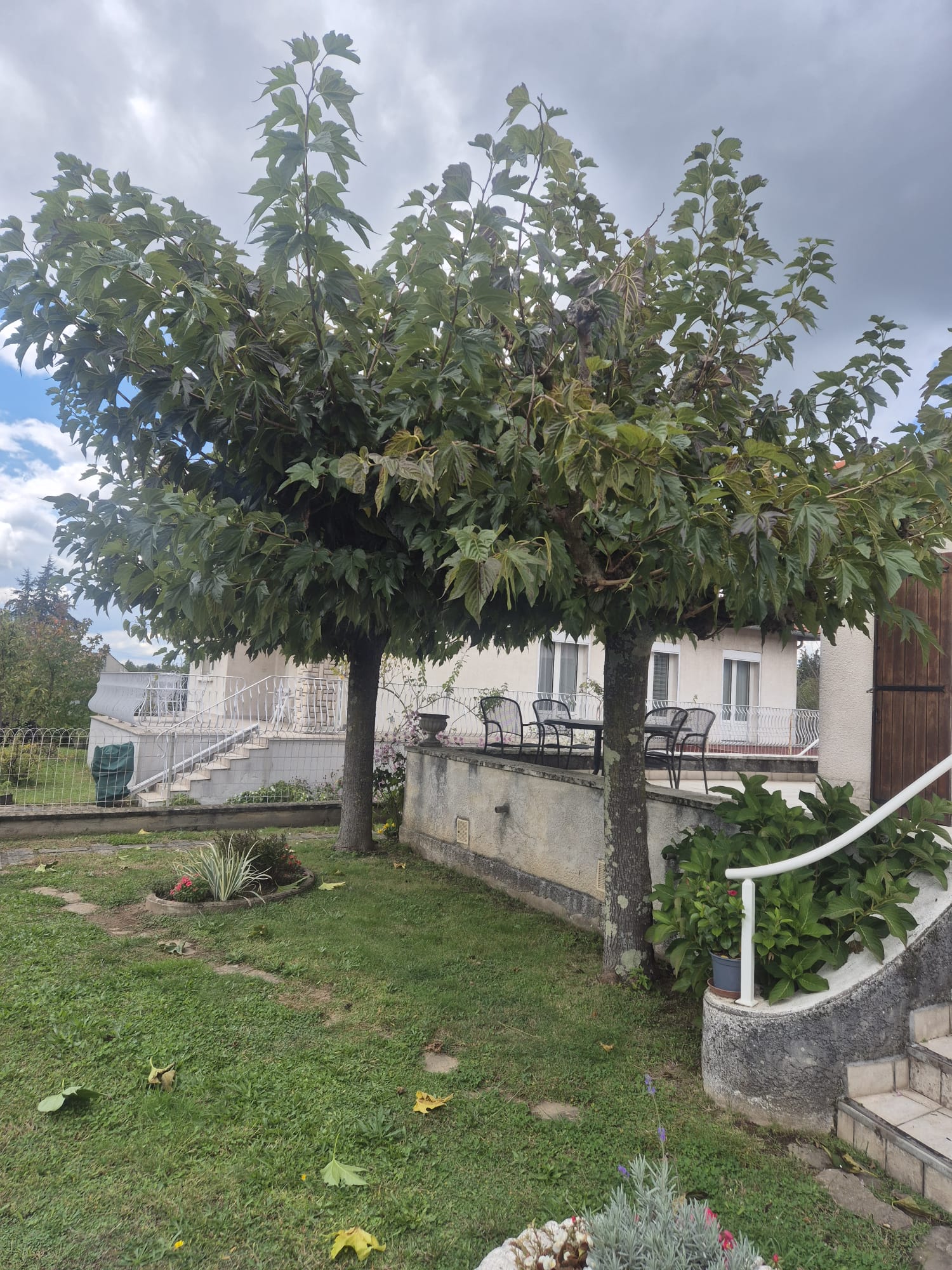 Réalisation JV espaces verts 16