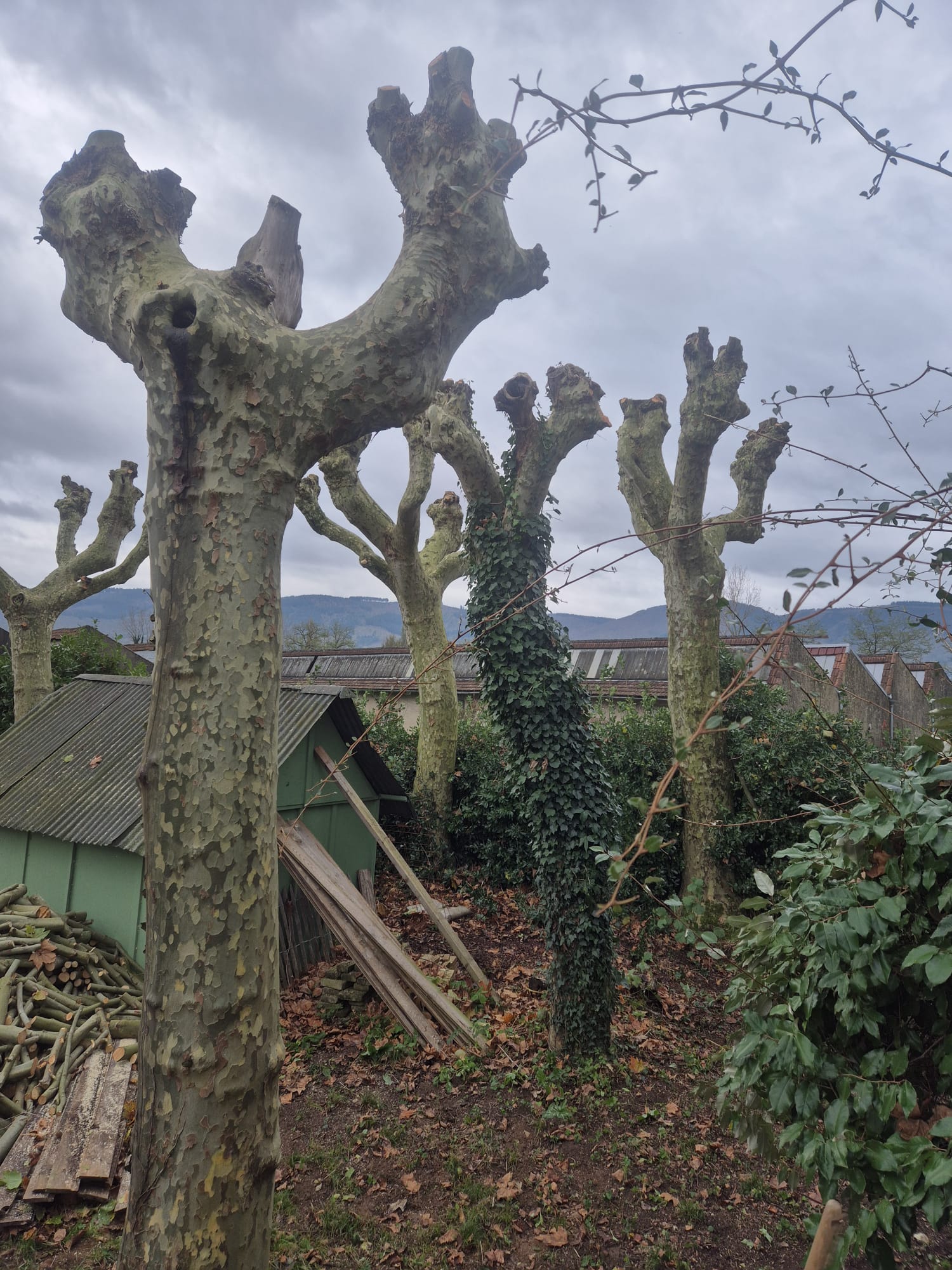 Réalisation JV espaces verts 19