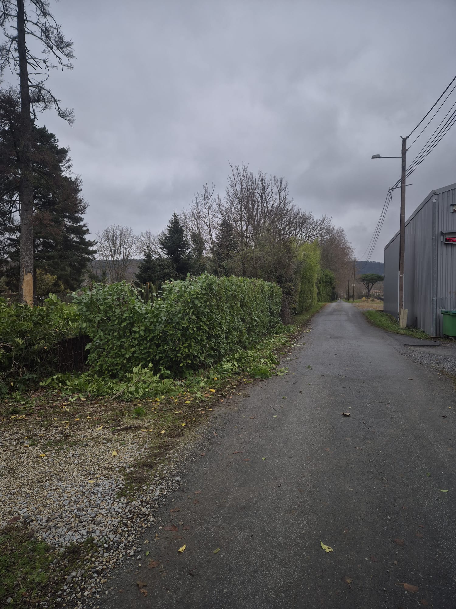 Réalisation JV espaces verts 21