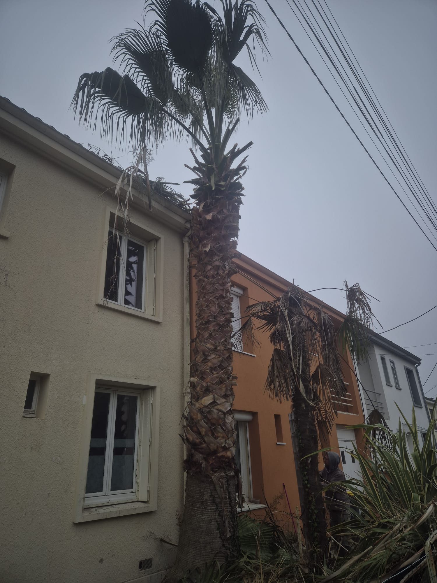 Réalisation JV espaces verts 34