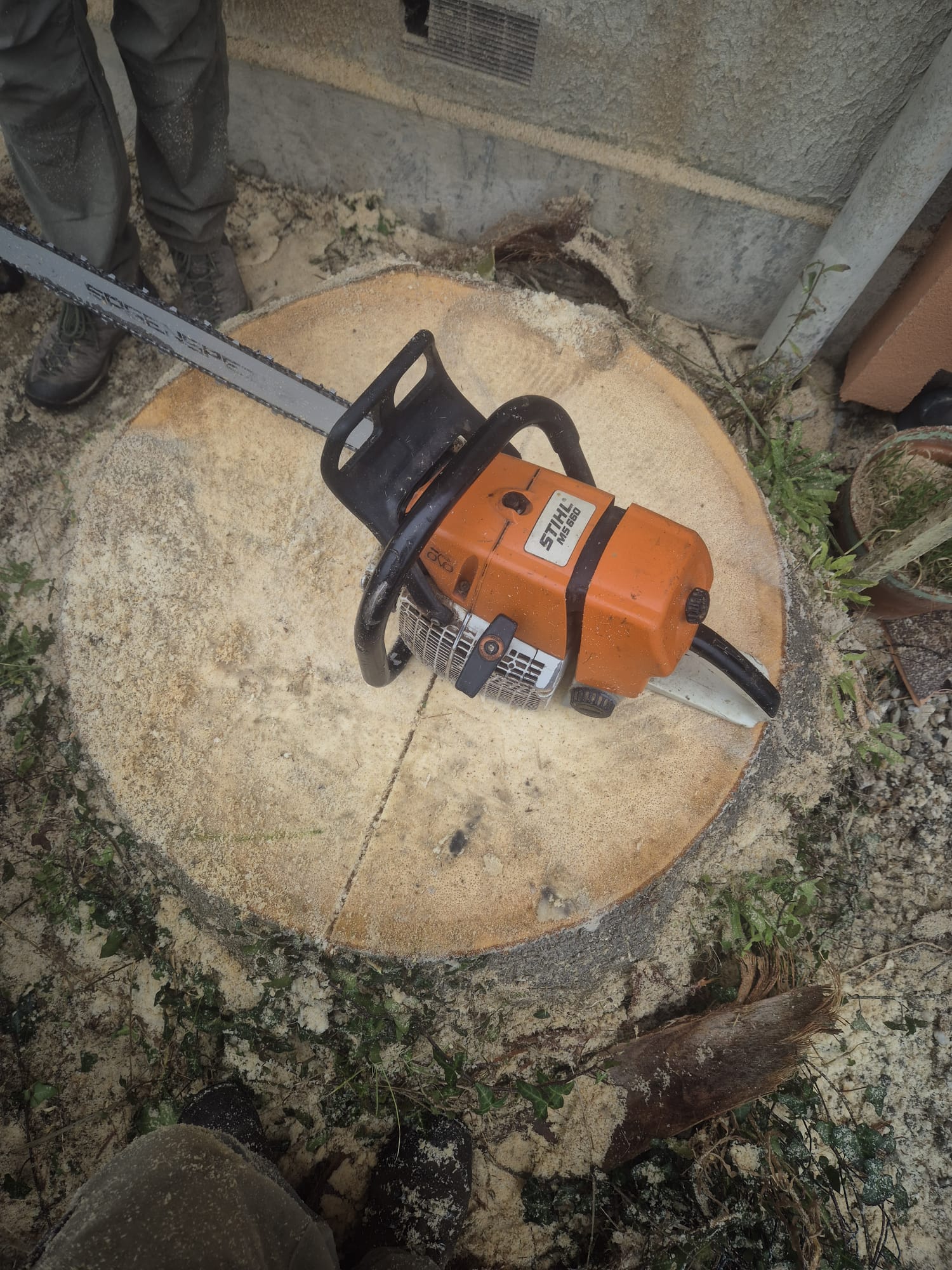 Réalisation JV espaces verts 35