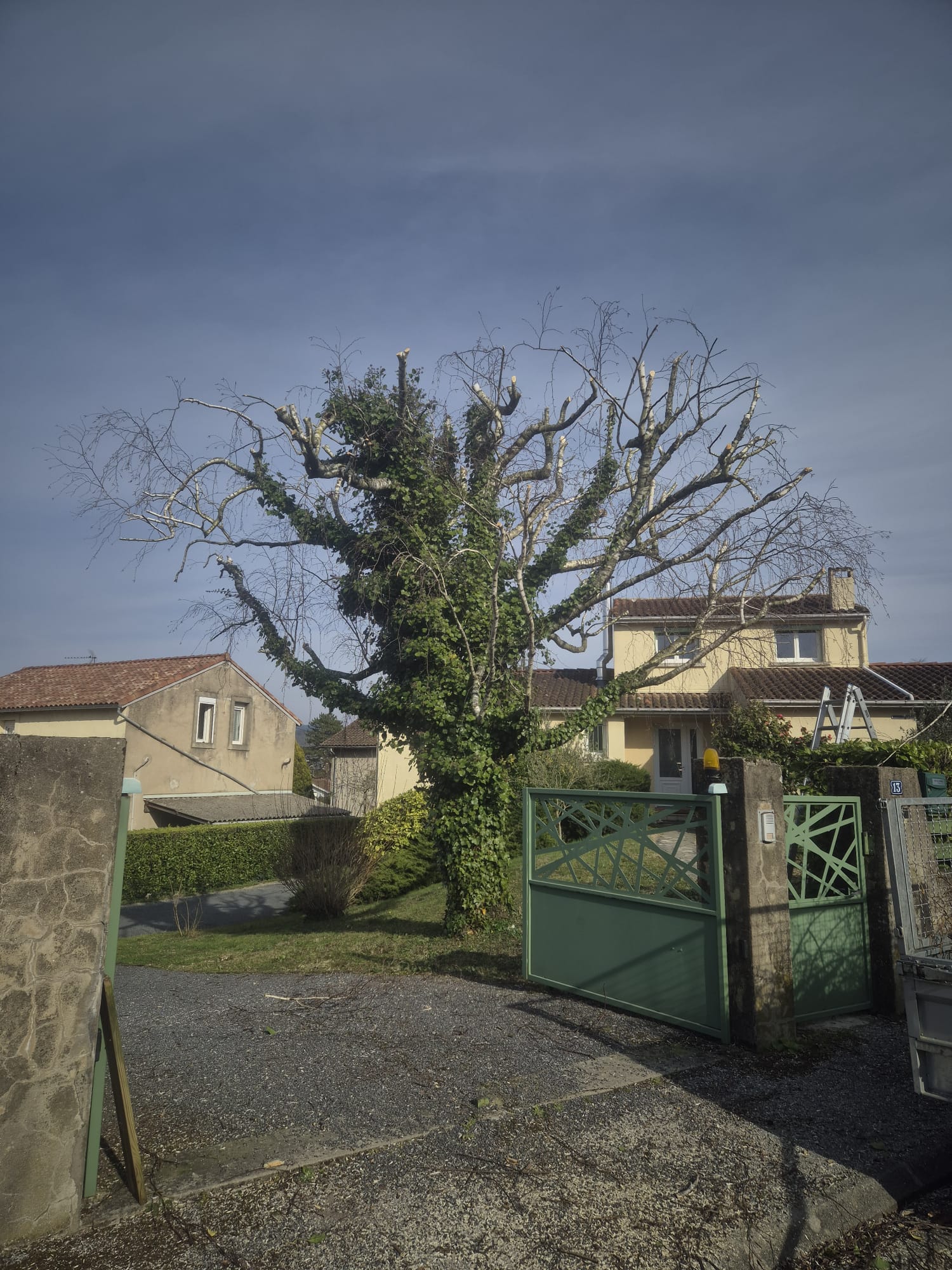 Réalisation JV espaces verts 37