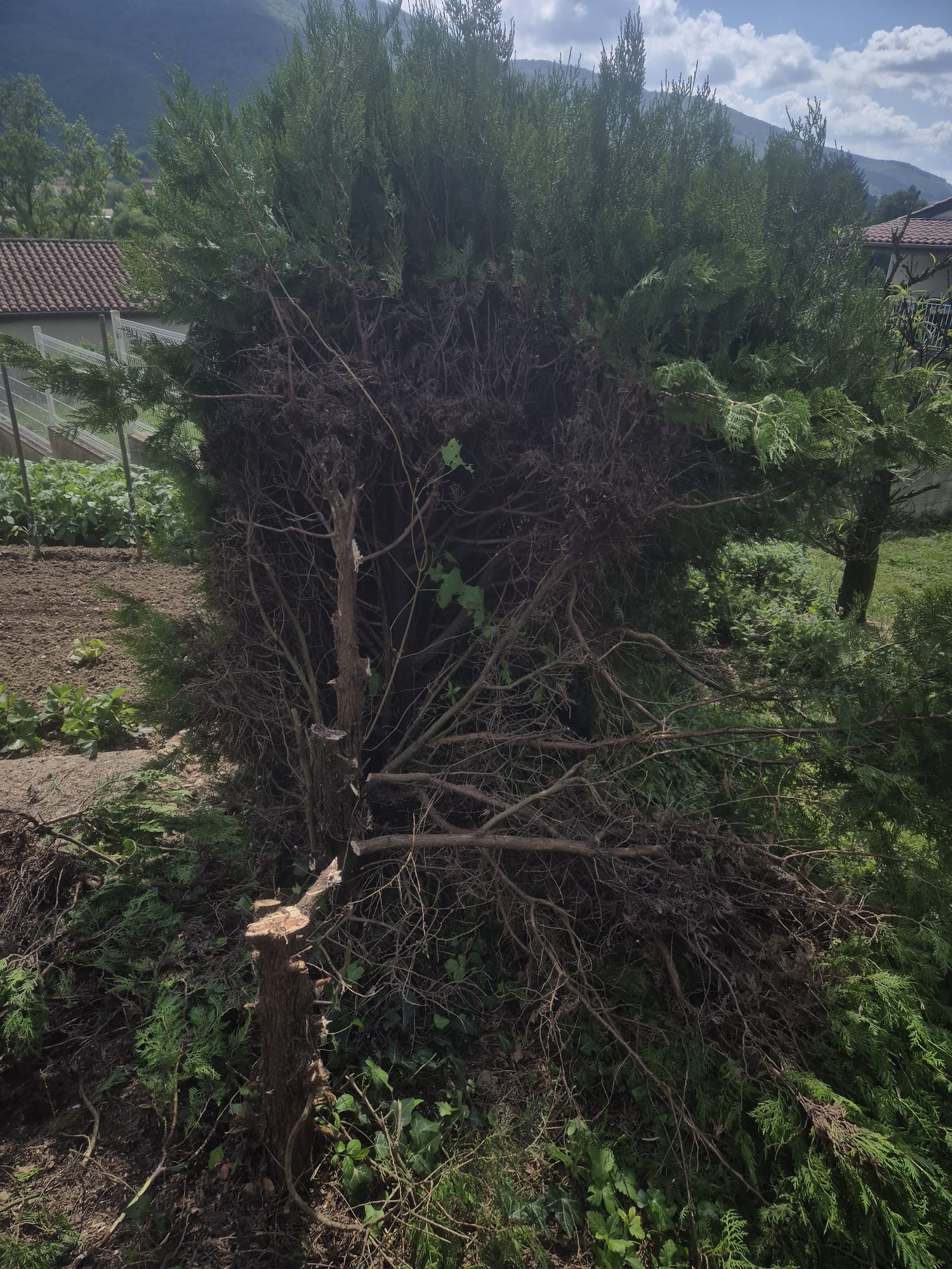 Réalisation JV espaces verts 40