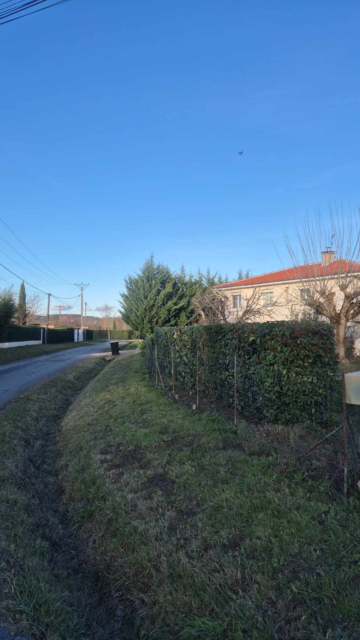 Réalisation JV espaces verts 47