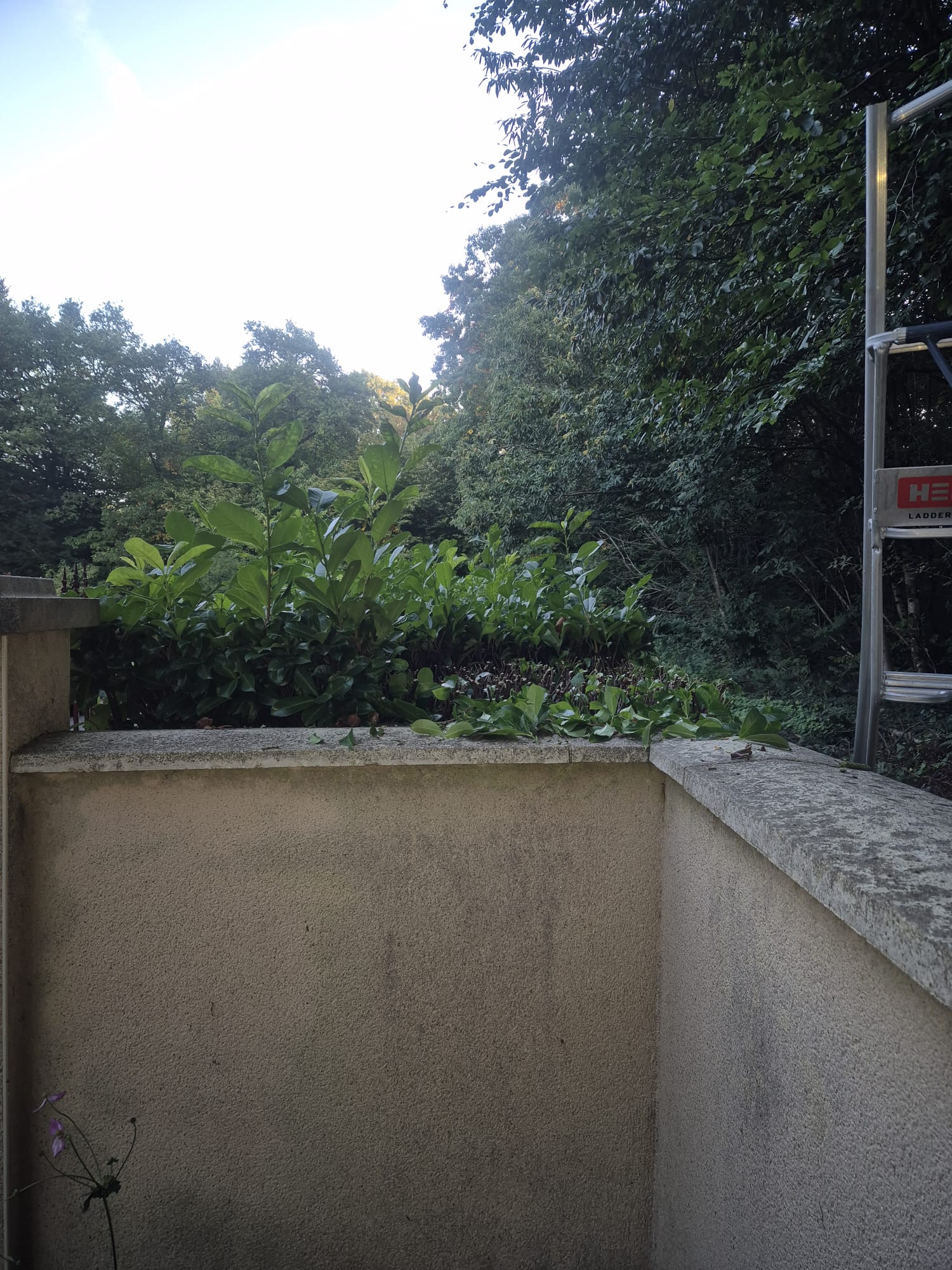 Réalisation JV espaces verts 48