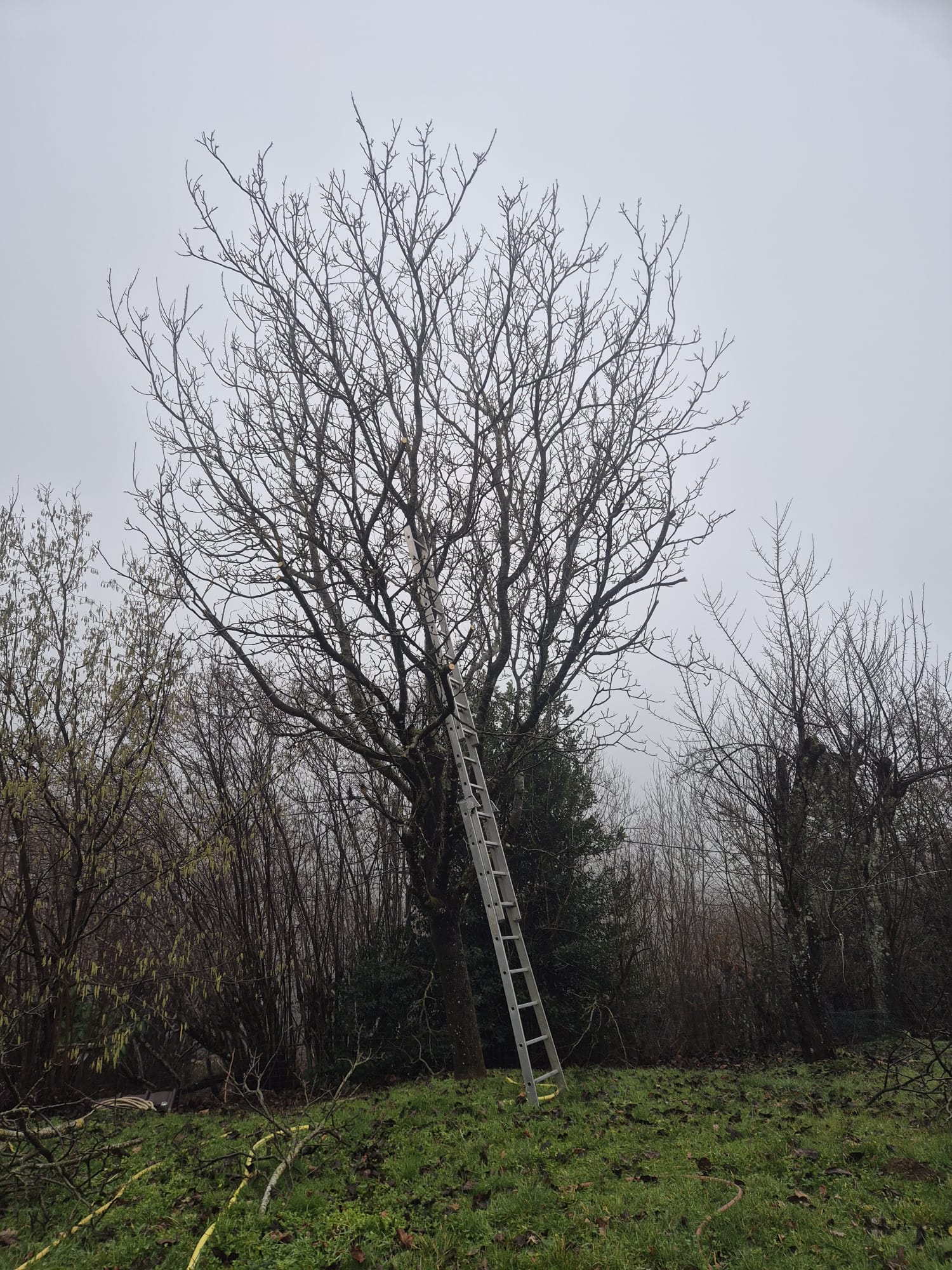 Réalisation JV espaces verts 49