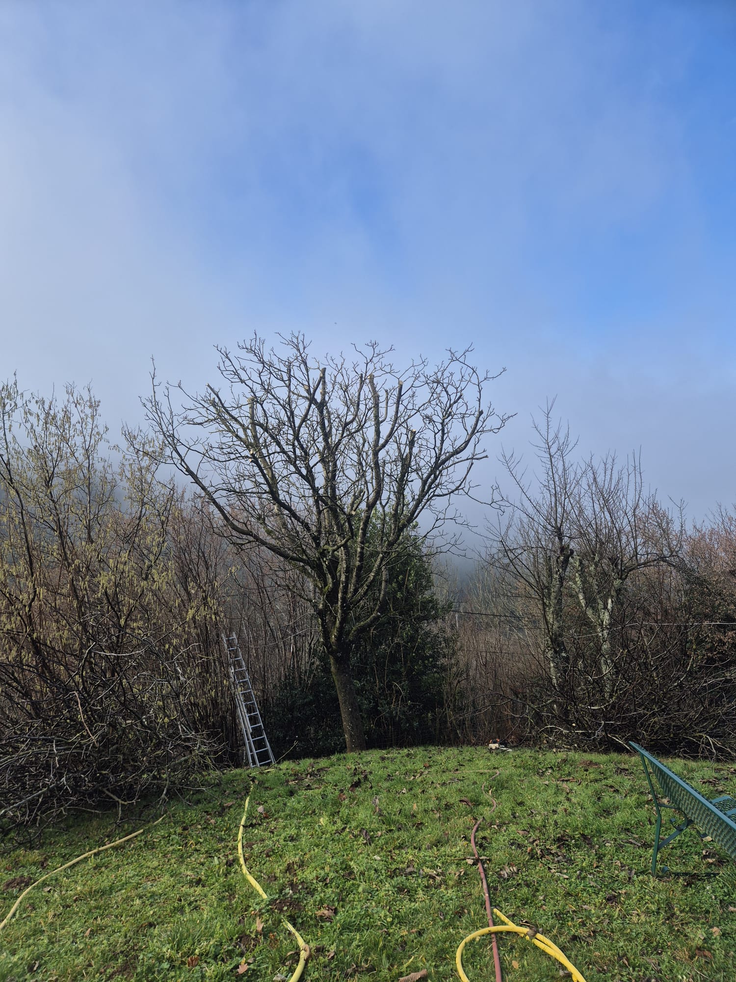 Réalisation JV espaces verts 50