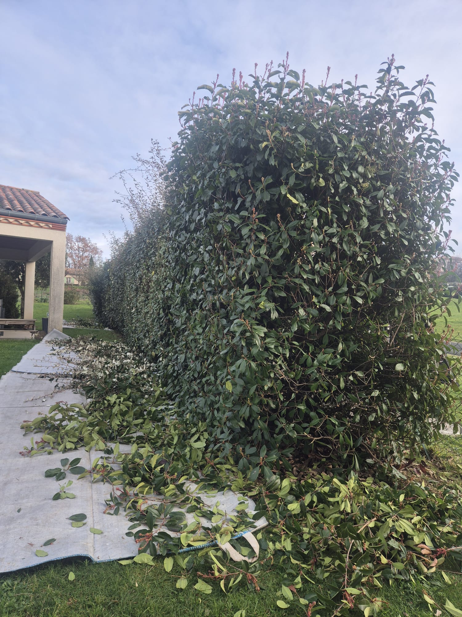 Réalisation JV espaces verts 51