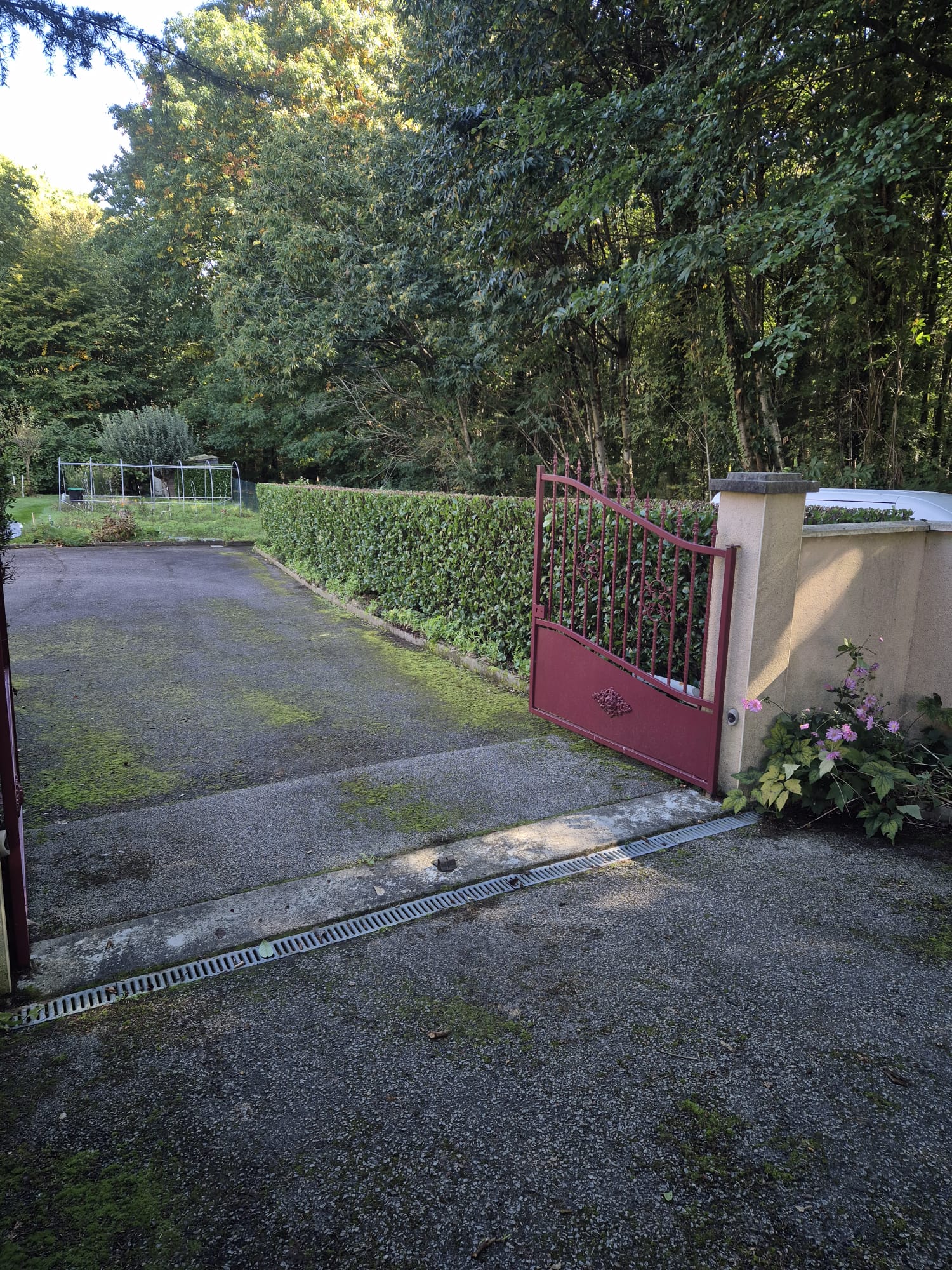 Réalisation JV espaces verts 53